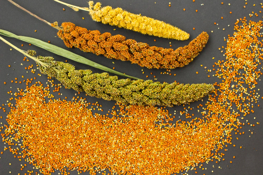 Gluten-Free Grains in India