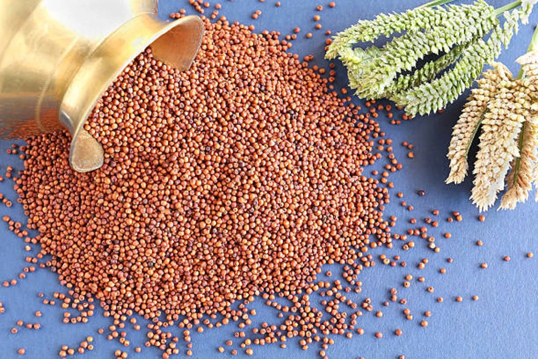 millet grains