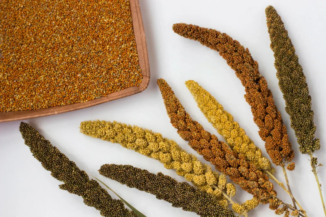 different types of millets
