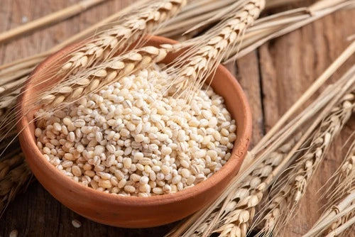 Barley grains